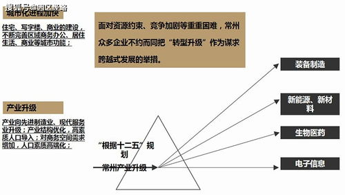 常州恒生科技園項(xiàng)目市場(chǎng)營(yíng)銷策劃報(bào)告