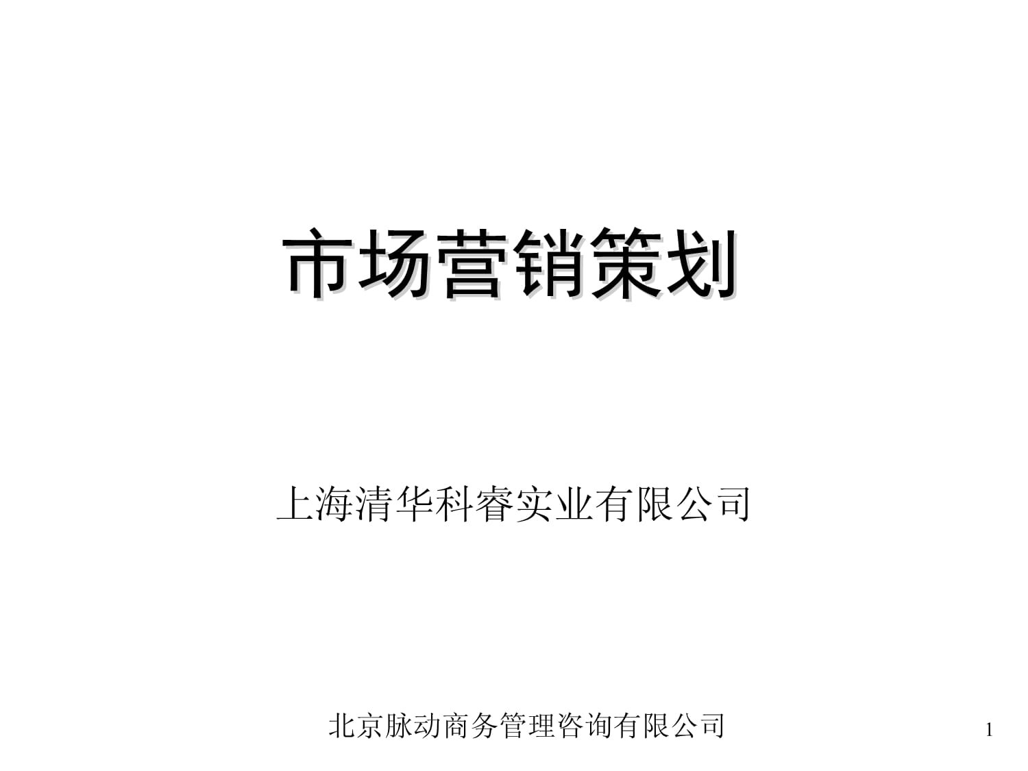 市場(chǎng)營(yíng)銷策劃 從策略到執(zhí)行的系統(tǒng)化培訓(xùn)指南
